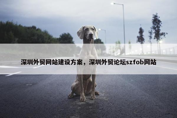 深圳外贸网站建设方案，深圳外贸论坛szfob网站