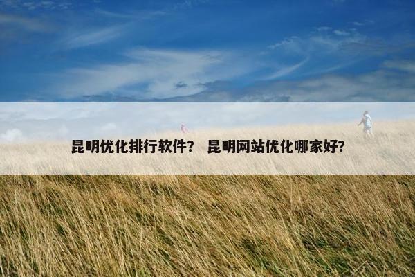 昆明优化排行软件？ 昆明网站优化哪家好？