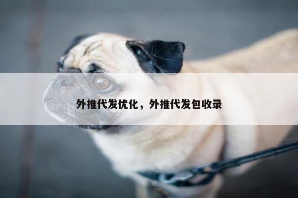 外推代发优化，外推代发包收录