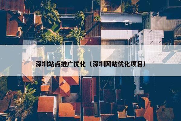 深圳站点推广优化（深圳网站优化项目）