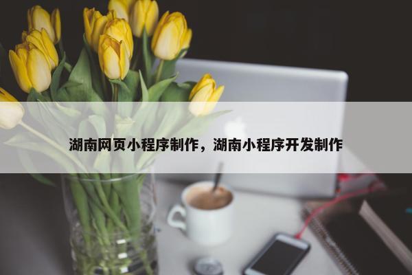 湖南网页小程序制作，湖南小程序开发制作