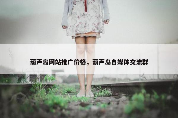 葫芦岛网站推广价格，葫芦岛自媒体交流群