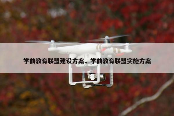 学前教育联盟建设方案，学前教育联盟实施方案
