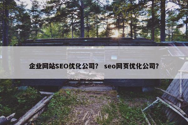 企业网站SEO优化公司？ seo网页优化公司？