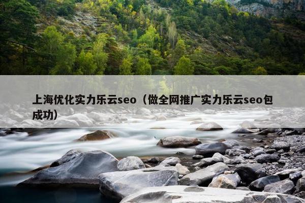 上海优化实力乐云seo（做全网推广实力乐云seo包成功）