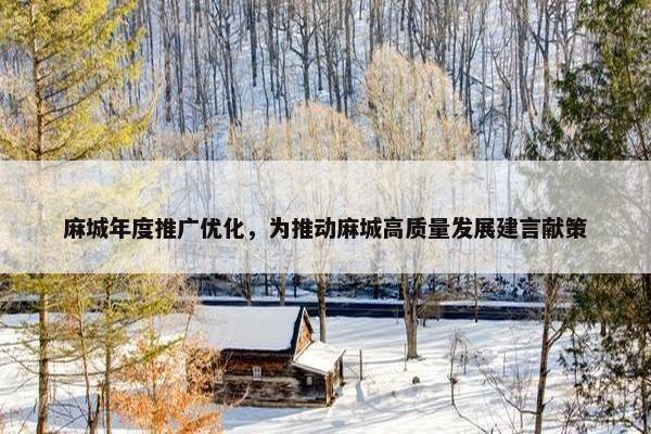 麻城年度推广优化，为推动麻城高质量发展建言献策