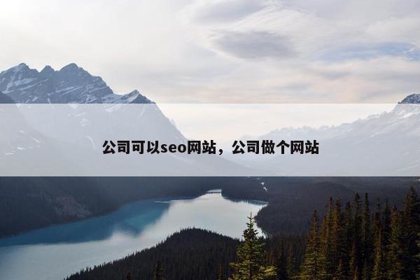 公司可以seo网站，公司做个网站