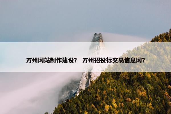 万州网站制作建设？ 万州招投标交易信息网？
