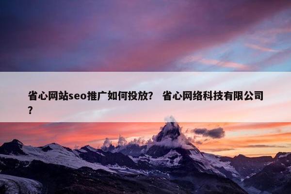 省心网站seo推广如何投放？ 省心网络科技有限公司？