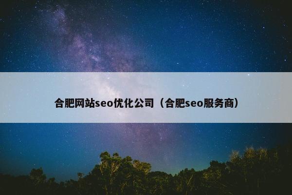 合肥网站seo优化公司（合肥seo服务商）