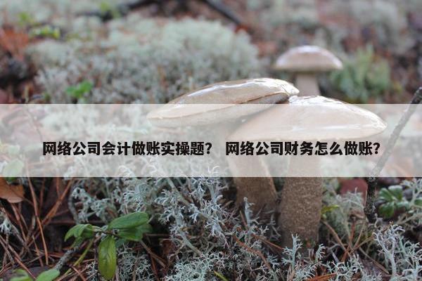 网络公司会计做账实操题？ 网络公司财务怎么做账？