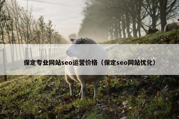 保定专业网站seo运营价格（保定seo网站优化）