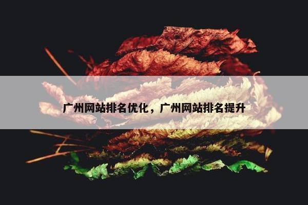 广州网站排名优化，广州网站排名提升