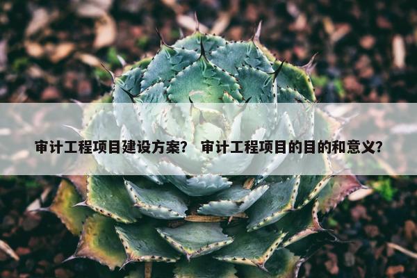 审计工程项目建设方案？ 审计工程项目的目的和意义？