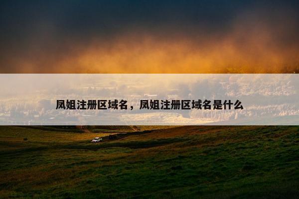 凤姐注册区域名，凤姐注册区域名是什么