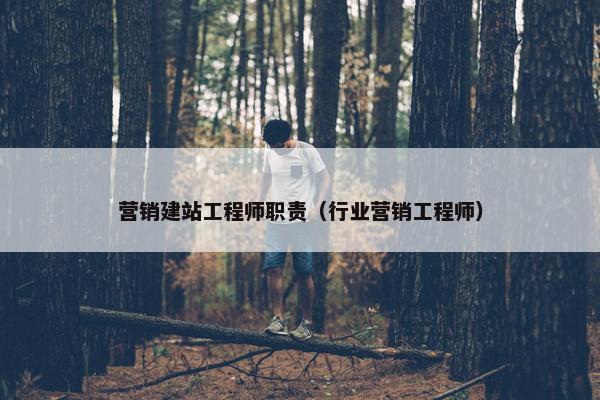 营销建站工程师职责（行业营销工程师）