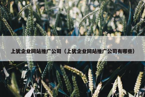 上犹企业网站推广公司（上犹企业网站推广公司有哪些）