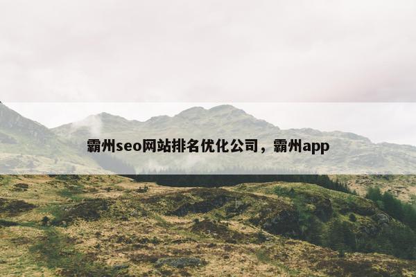 霸州seo网站排名优化公司，霸州app