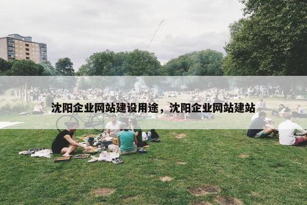 沈阳企业网站建设用途，沈阳企业网站建站