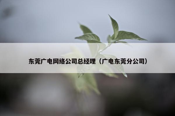 东莞广电网络公司总经理（广电东莞分公司）