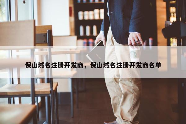保山域名注册开发商，保山域名注册开发商名单