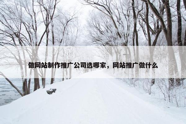 做网站制作推广公司选哪家，网站推广做什么