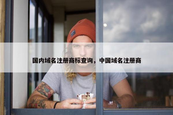 国内域名注册商标查询，中国域名注册商