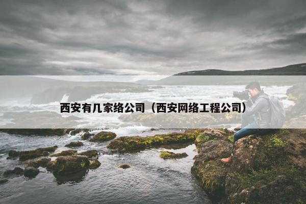 西安有几家络公司（西安网络工程公司）