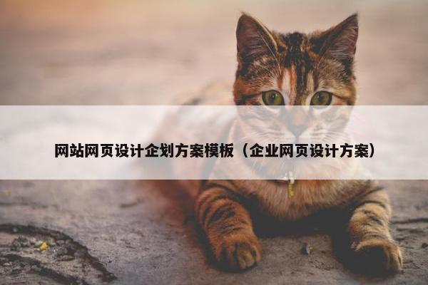 网站网页设计企划方案模板（企业网页设计方案）