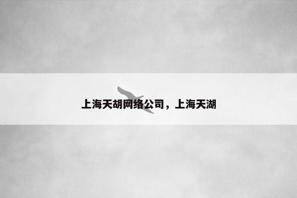 上海天胡网络公司，上海天湖