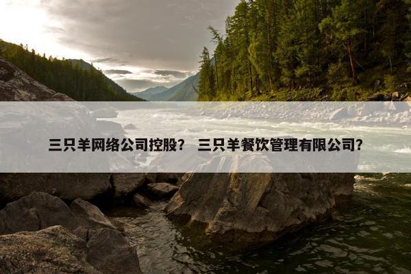 三只羊网络公司控股？ 三只羊餐饮管理有限公司？
