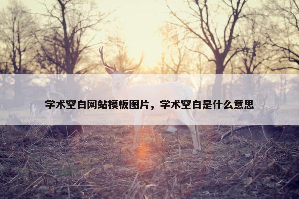 学术空白网站模板图片，学术空白是什么意思