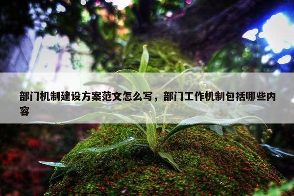 部门机制建设方案范文怎么写，部门工作机制包括哪些内容