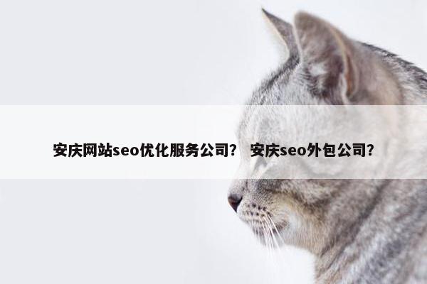 安庆网站seo优化服务公司？ 安庆seo外包公司？