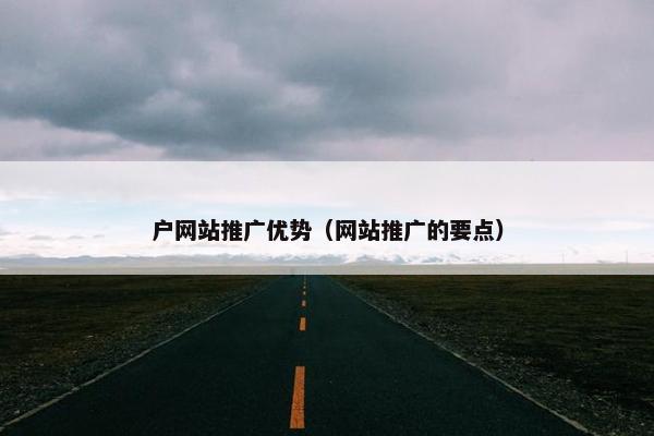 户网站推广优势（网站推广的要点）