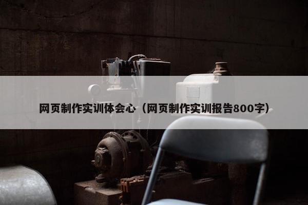 网页制作实训体会心（网页制作实训报告800字）