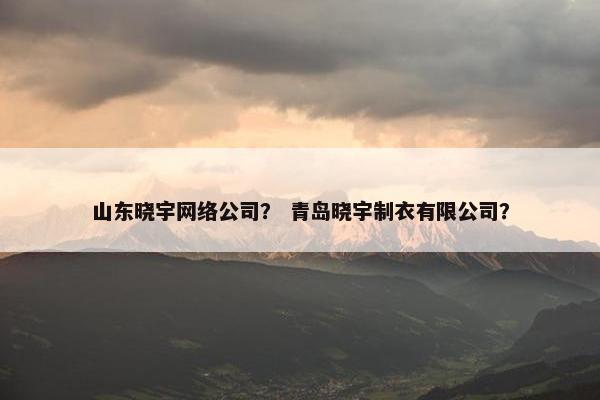 山东晓宇网络公司？ 青岛晓宇制衣有限公司？