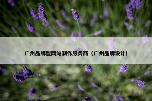 广州品牌型网站制作服务商（广州品牌设计）