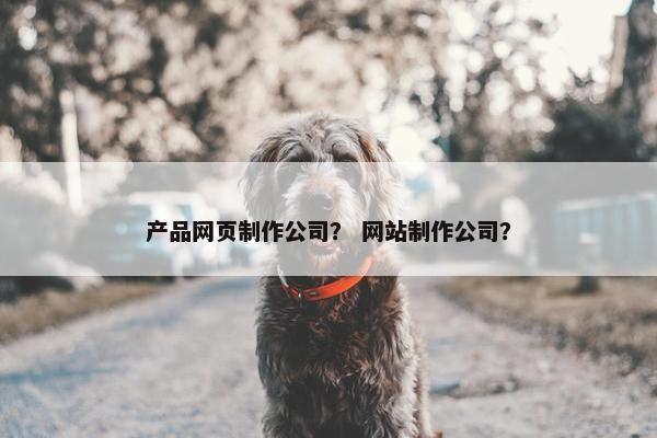 产品网页制作公司？ 网站制作公司？