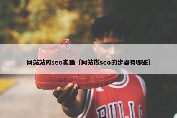 网站站内seo实操（网站做seo的步骤有哪些）