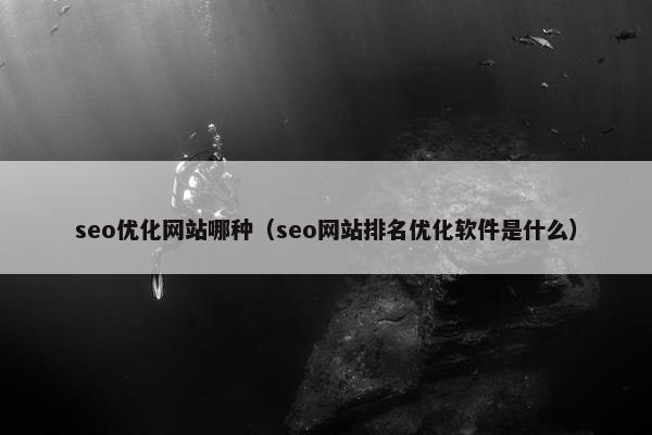 seo优化网站哪种（seo网站排名优化软件是什么）