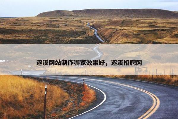 遂溪网站制作哪家效果好，遂溪招聘网