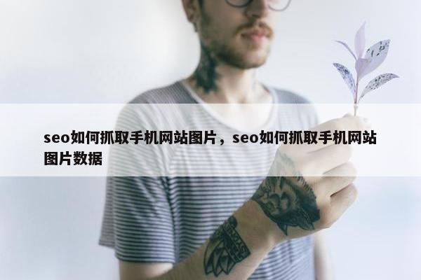 seo如何抓取手机网站图片，seo如何抓取手机网站图片数据