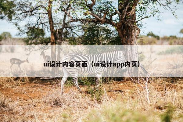 ui设计内容页面（ui设计app内页）