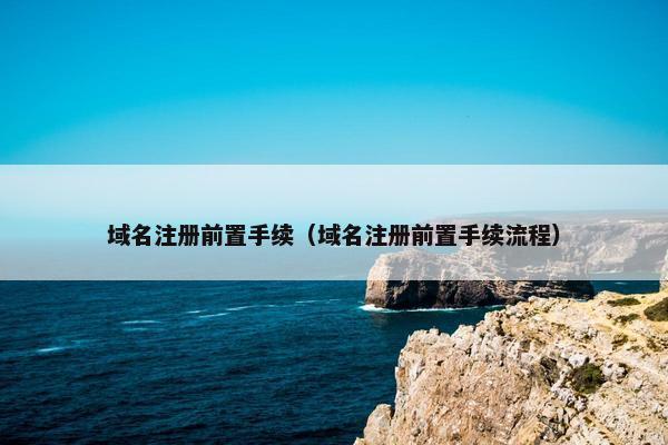 域名注册前置手续（域名注册前置手续流程）