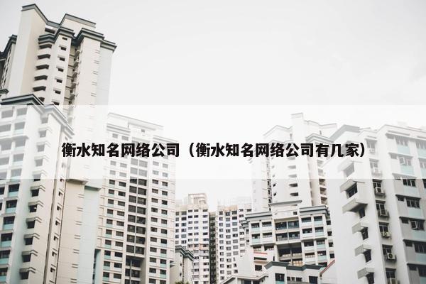 衡水知名网络公司（衡水知名网络公司有几家）