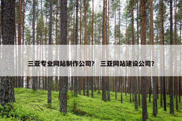 三亚专业网站制作公司？ 三亚网站建设公司？