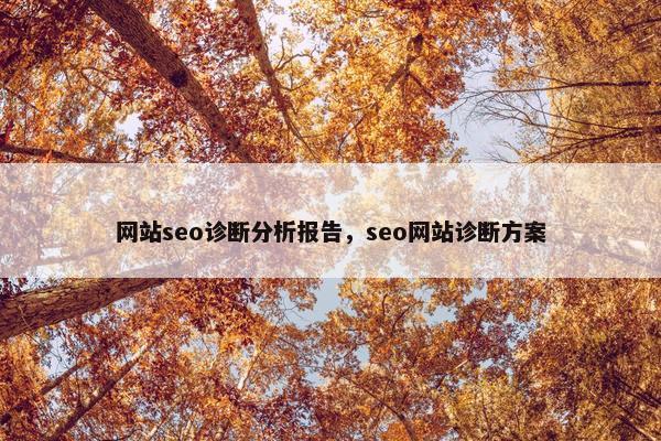 网站seo诊断分析报告，seo网站诊断方案
