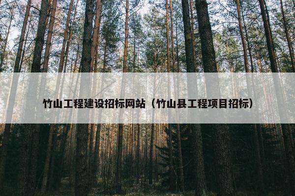 竹山工程建设招标网站（竹山县工程项目招标）