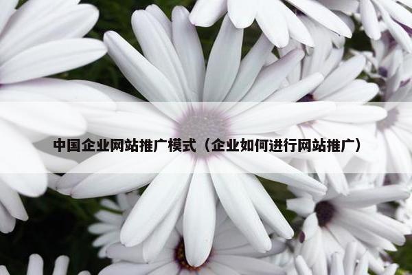 中国企业网站推广模式（企业如何进行网站推广）